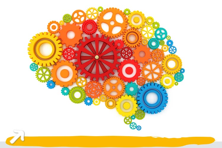 Praxis für Ergotherapie Hannover: Behandlungen für Erwachsene